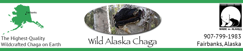 Wild Alaska Chaga